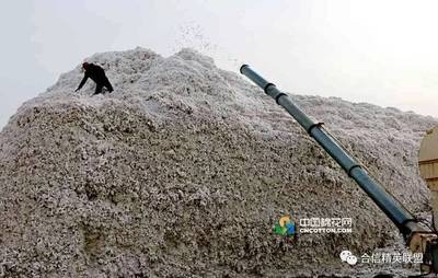 实际产量或将低于预期 新疆棉花产量出现意外